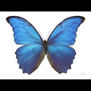 Meet your Posher, Marina